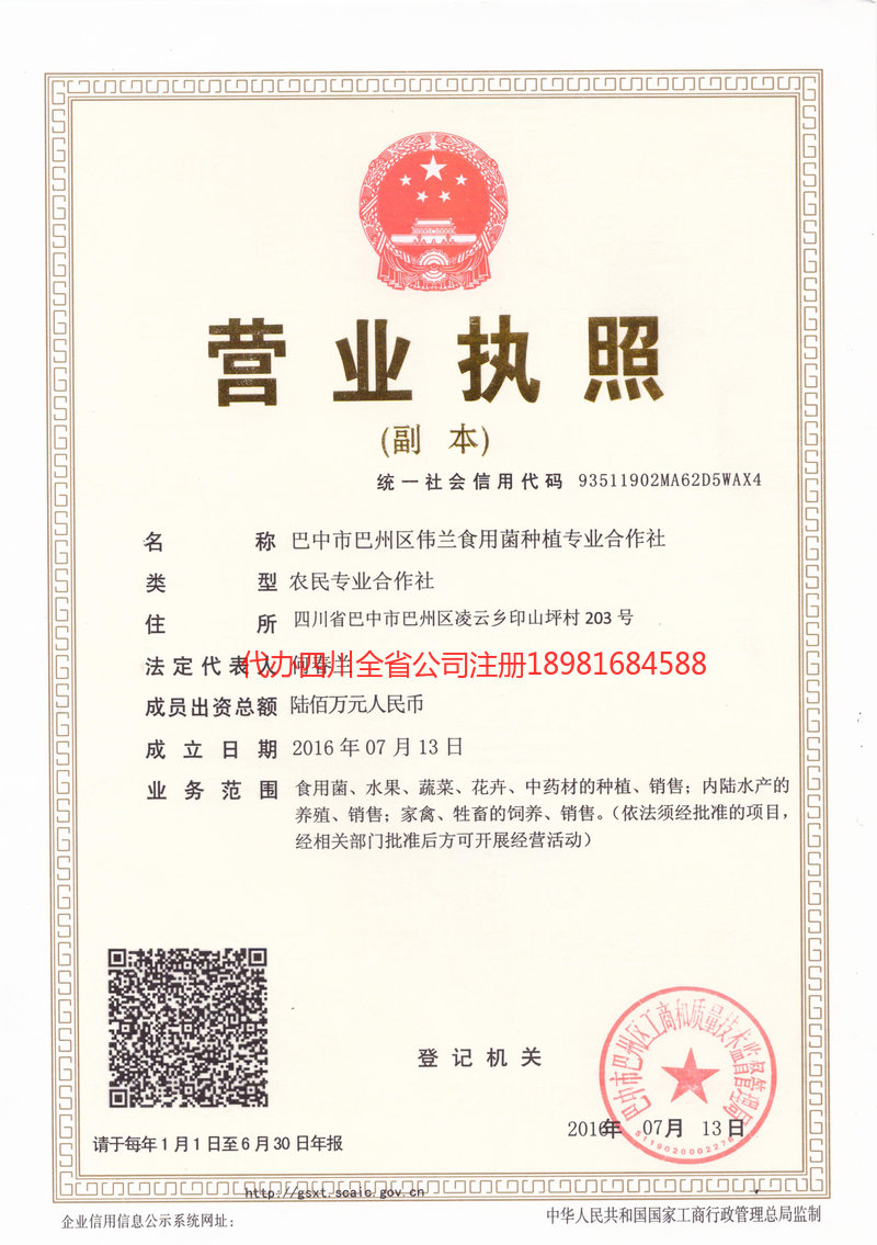 新乐新乐伟兰食用菌种植专业合作社